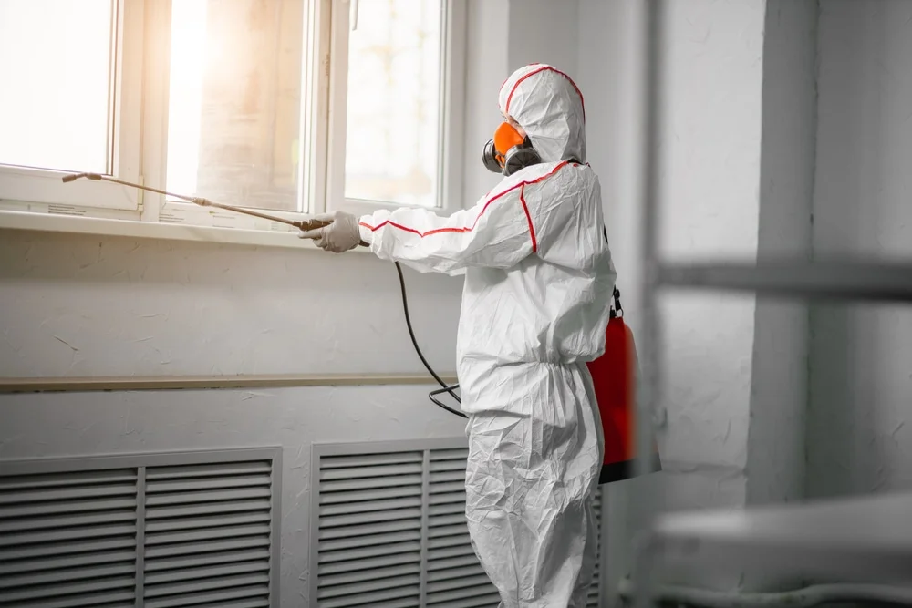 Professional mold remediation services in Cape May Court House, NJ
